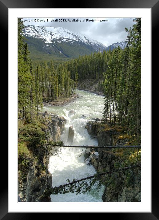 Sunwapta Falls, Canada Framed Mounted Print by David Birchall