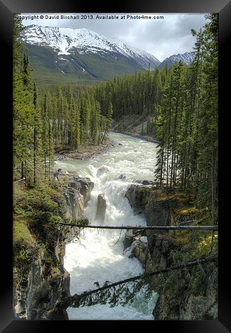 Sunwapta Falls, Canada Framed Print by David Birchall