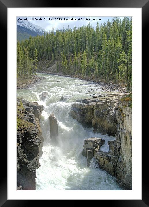 Sunwapta Falls, Canada Framed Mounted Print by David Birchall