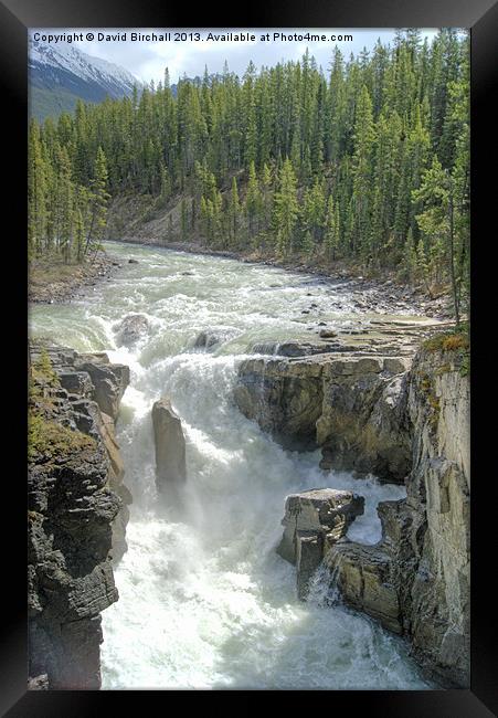 Sunwapta Falls, Canada Framed Print by David Birchall