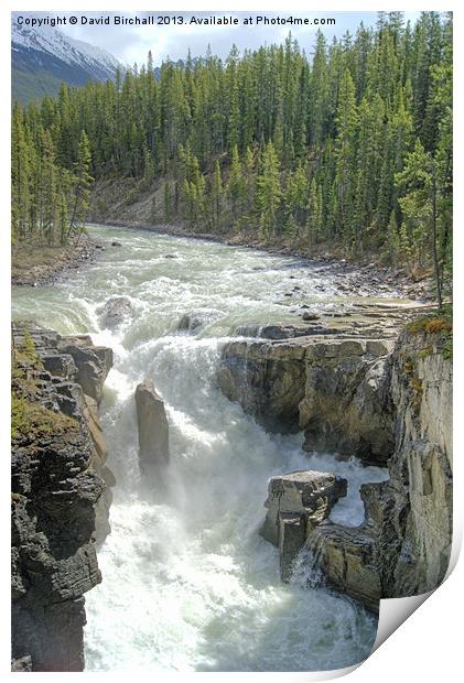 Sunwapta Falls, Canada Print by David Birchall