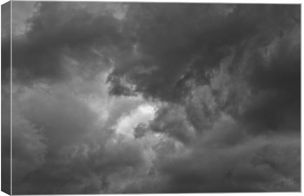 The Storm Canvas Print by David Pyatt
