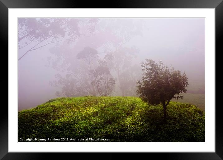 Ghost Tree in the Haunted Forest. Nuwara Eliya. Sr Framed Mounted Print by Jenny Rainbow