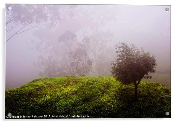 Ghost Tree in the Haunted Forest. Nuwara Eliya. Sr Acrylic by Jenny Rainbow