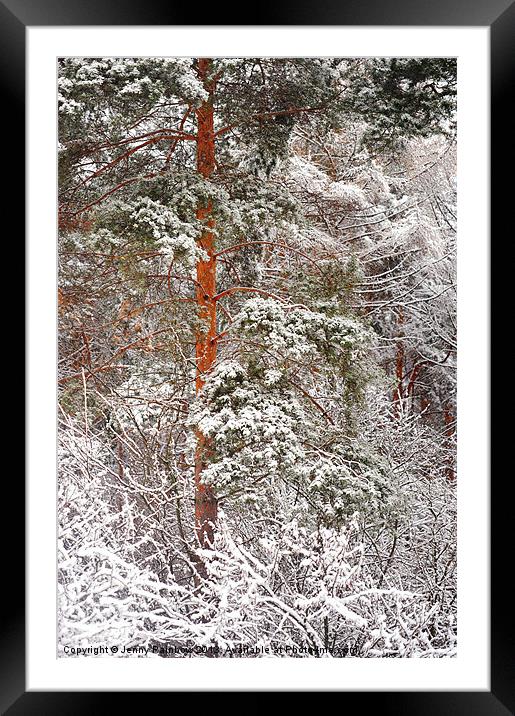 After Snow Storm Framed Mounted Print by Jenny Rainbow