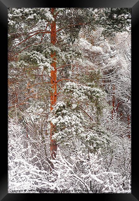 After Snow Storm Framed Print by Jenny Rainbow