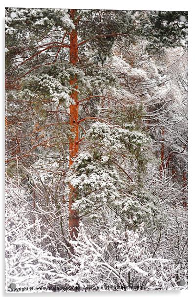 After Snow Storm Acrylic by Jenny Rainbow