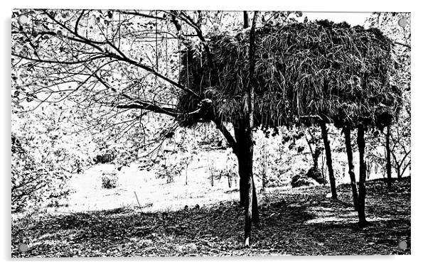 Indian Haystack on stilts in an orchard Acrylic by Arfabita  