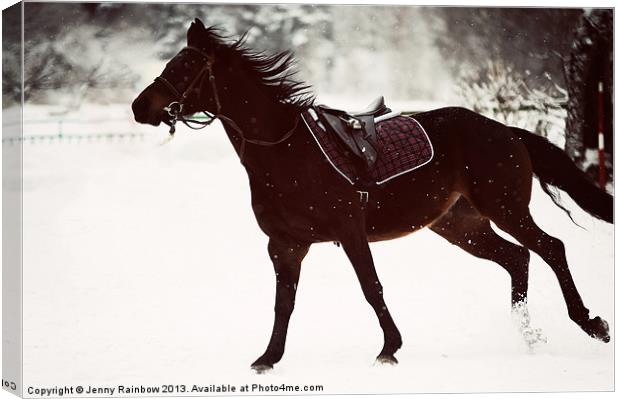 Race in the Snow Canvas Print by Jenny Rainbow