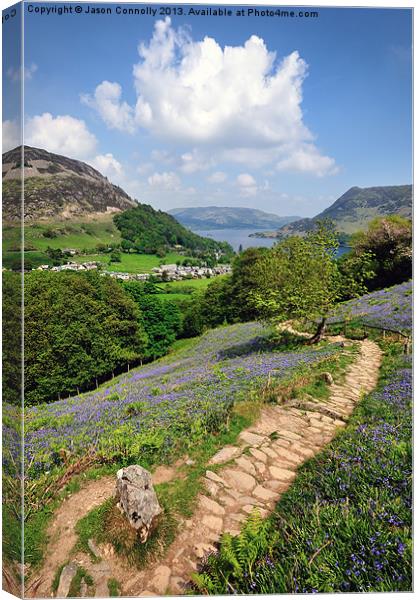 The Path To Glenridding Canvas Print by Jason Connolly