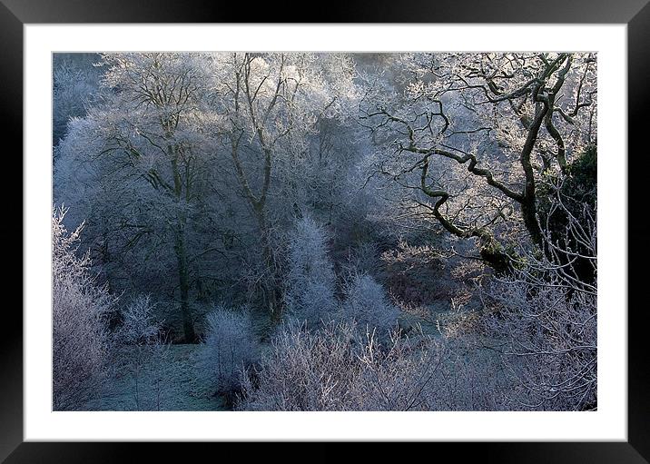 Hoar Frost in Exmoor Framed Mounted Print by Colin Tracy