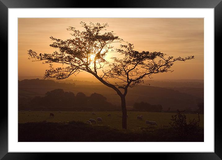 Sunset Silhouette Framed Mounted Print by Colin Tracy