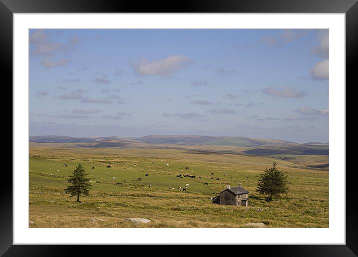 Nuns Cross Farm, Dartmoor, Devon Framed Mounted Print by Colin Tracy