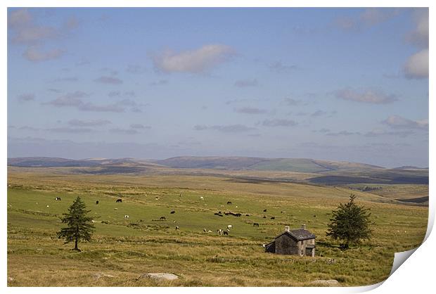 Nuns Cross Farm, Dartmoor, Devon Print by Colin Tracy