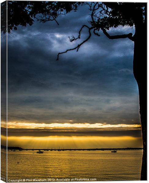 Under the Tree Canvas Print by Phil Wareham