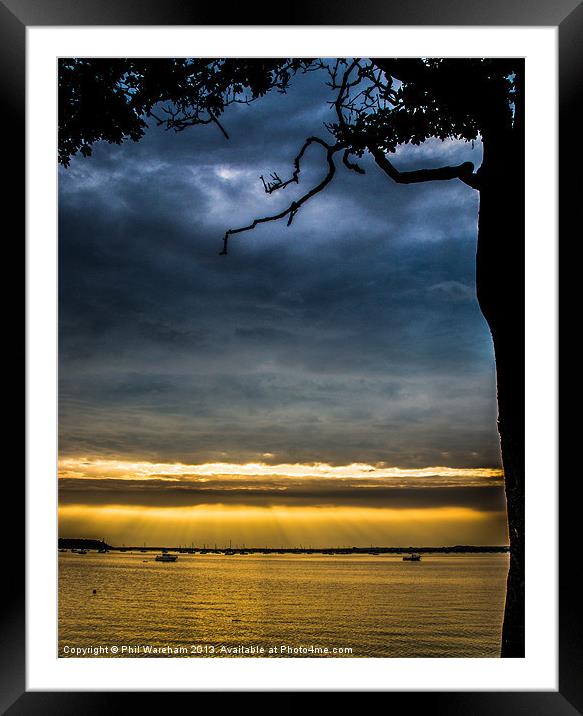 Under the Tree Framed Mounted Print by Phil Wareham