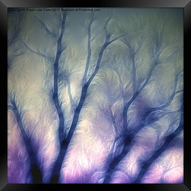 Mystic trees Framed Print by Sharon Lisa Clarke