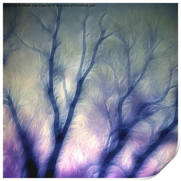 Mystic trees Print by Sharon Lisa Clarke