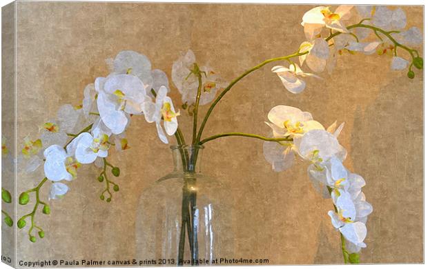 Orchid display! Canvas Print by Paula Palmer canvas