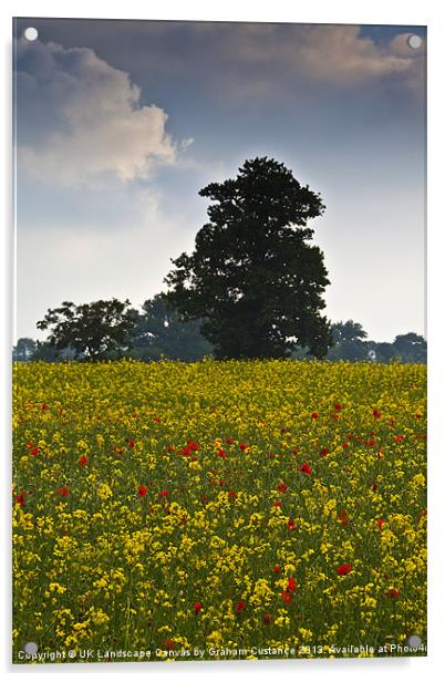 Summer Field Acrylic by Graham Custance