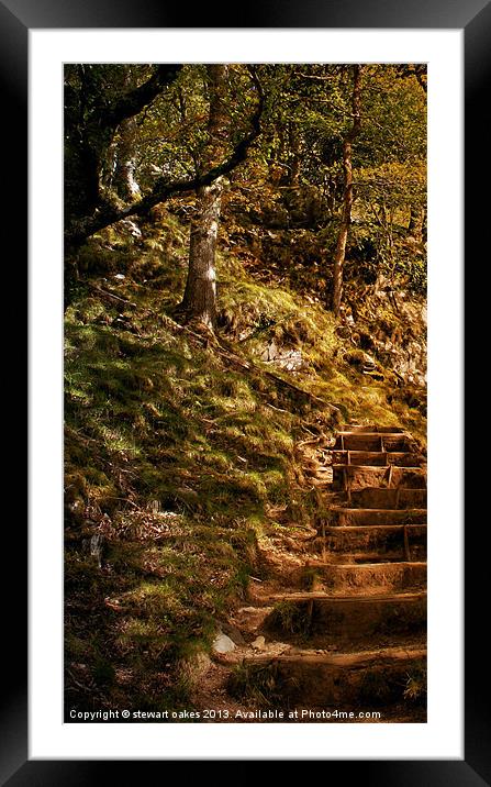 Secret staircase Framed Mounted Print by stewart oakes