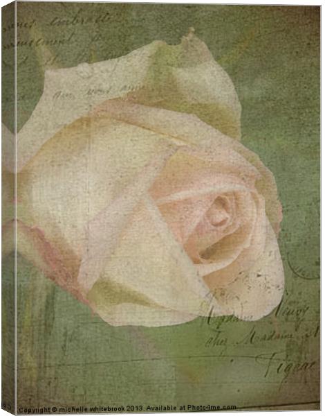 Vintage Rose 6 Canvas Print by michelle whitebrook