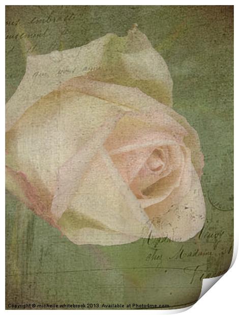Vintage Rose 6 Print by michelle whitebrook