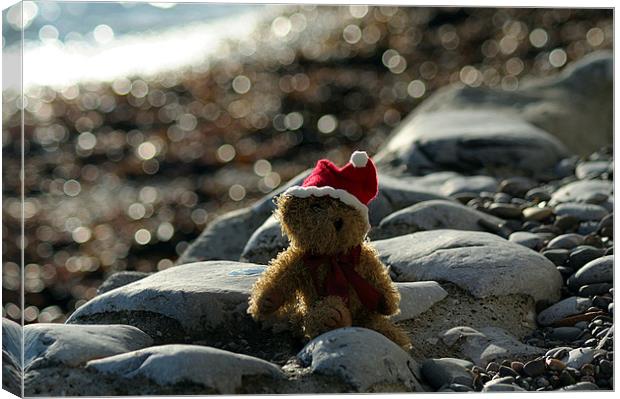 Christmas at the Beach Canvas Print by Rosie Spooner
