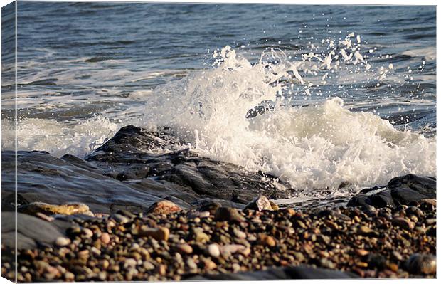 Wave on the Shoreline Canvas Print by Rosie Spooner