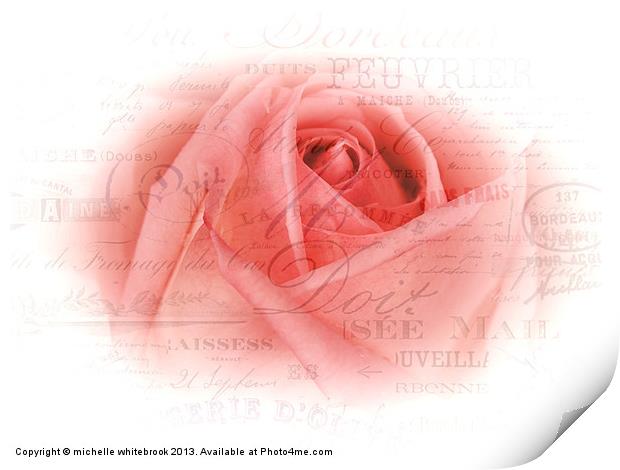 French Rose 9 Print by michelle whitebrook