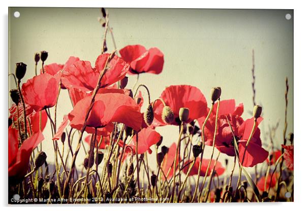 Poppies field Acrylic by Martine Affre Eisenlohr