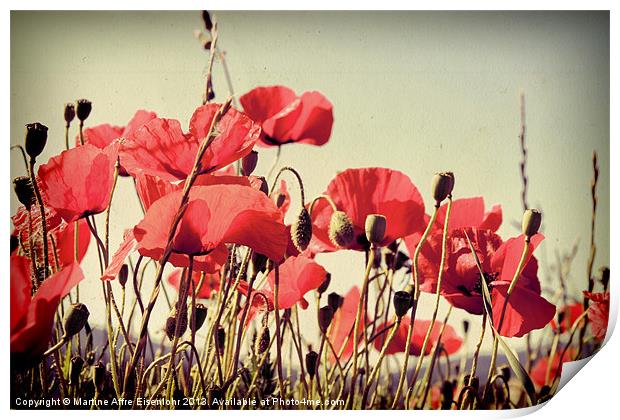 Poppies field Print by Martine Affre Eisenlohr