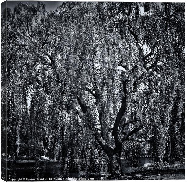 weeping willow tree 2 Canvas Print by Emma Ward