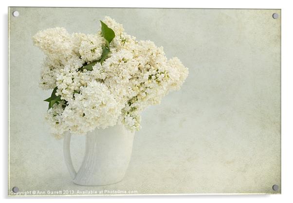 White Lilac in a Cream Jug Acrylic by Ann Garrett