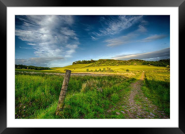 Country Path Framed Mounted Print by Sam Smith
