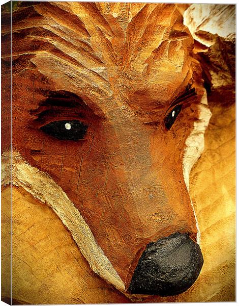 foxs break Canvas Print by dale rys (LP)