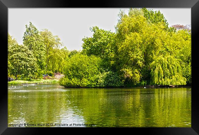 bushy lakes 1 Framed Print by Emma Ward