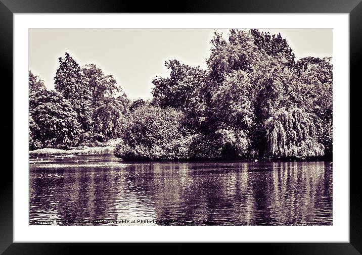 bushy lakes 2 Framed Mounted Print by Emma Ward