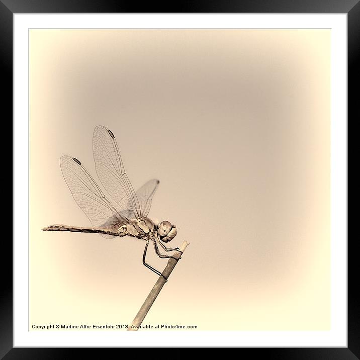 Dragonfly Framed Mounted Print by Martine Affre Eisenlohr