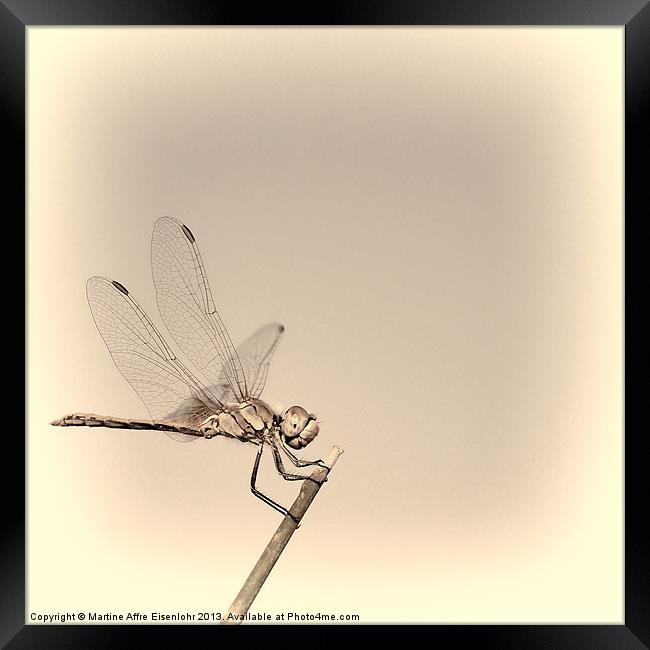 Dragonfly Framed Print by Martine Affre Eisenlohr