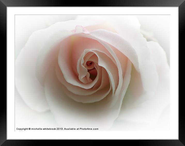 Hint Of Pink Framed Mounted Print by michelle whitebrook