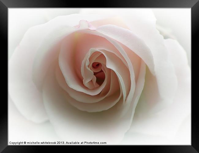 Hint Of Pink Framed Print by michelle whitebrook