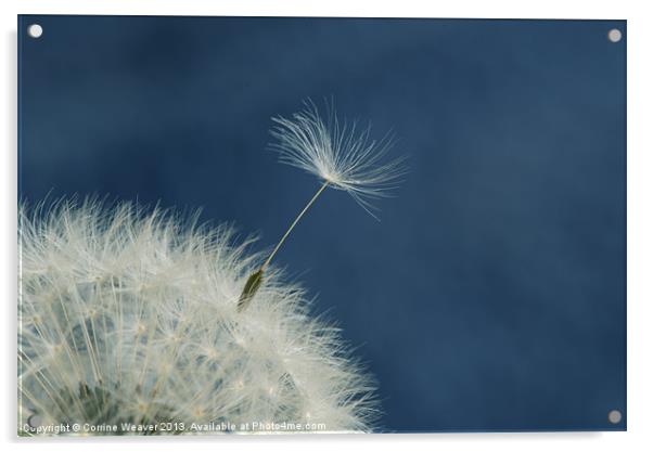 Fairy Clock Escapee in Blue Acrylic by Corrine Weaver