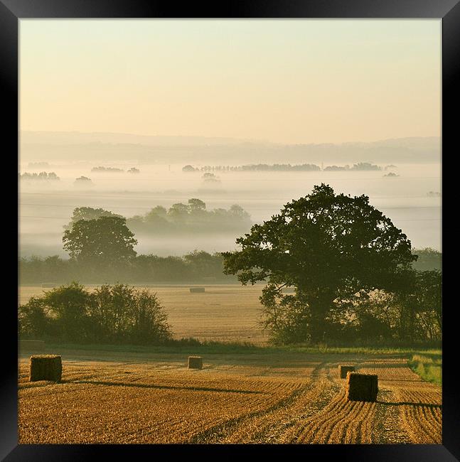 Chiltern Mist Framed Print by graham young