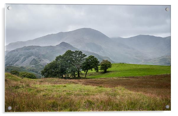 Rain is coming near Elterwater Acrylic by Michelle PREVOT