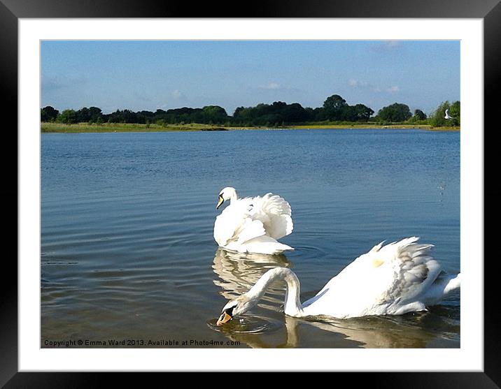swan lake Framed Mounted Print by Emma Ward