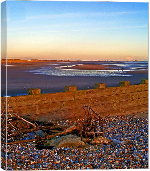 Camber Sands from Rye Harbour Canvas Print by Reg Dobson