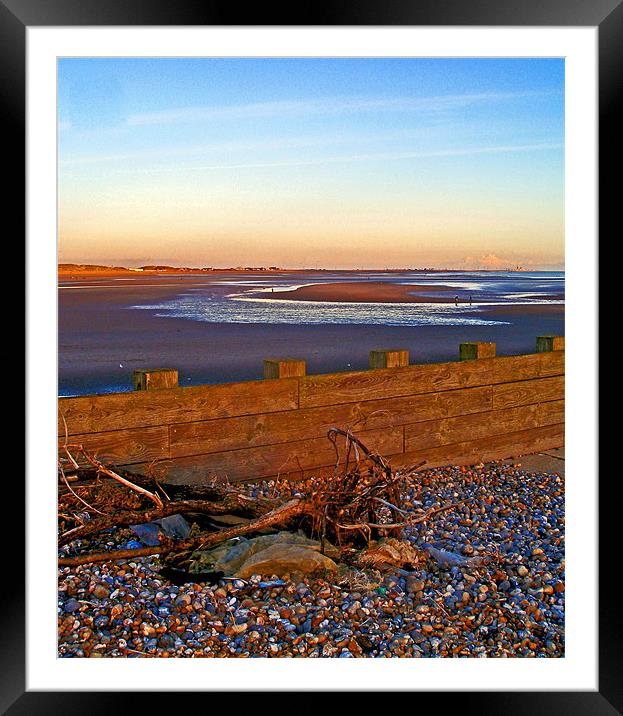 Camber Sands from Rye Harbour Framed Mounted Print by Reg Dobson