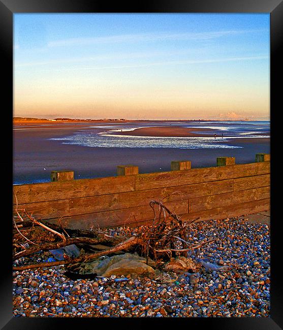 Camber Sands from Rye Harbour Framed Print by Reg Dobson