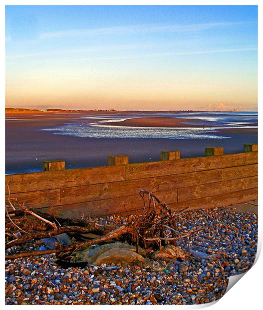 Camber Sands from Rye Harbour Print by Reg Dobson